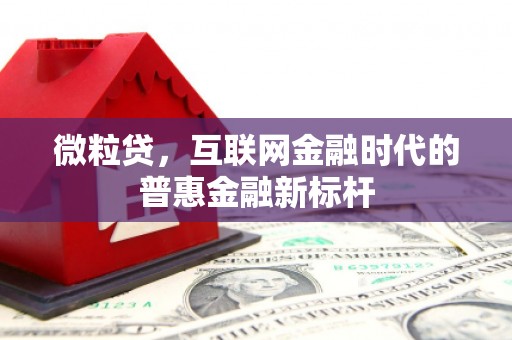 云龙微粒贷，互联网金融时代的普惠金融新标杆