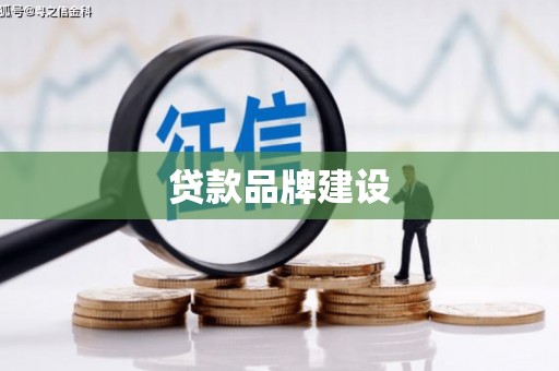 凤泉贷款品牌建设