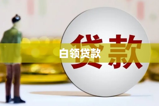 瑞昌白领贷款