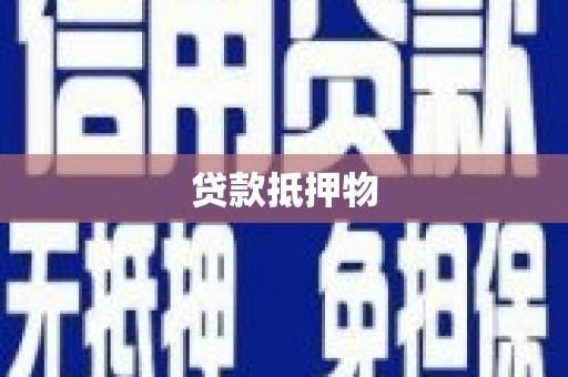 浉河贷款抵押物