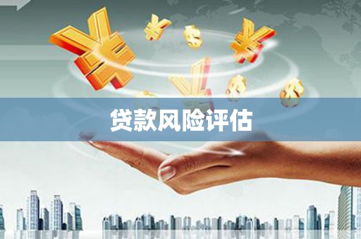 海安贷款风险评估
