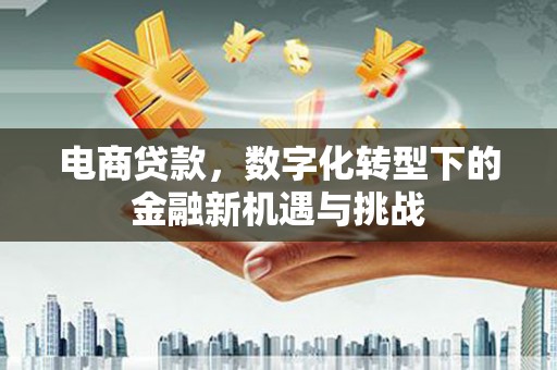 小港电商贷款，数字化转型下的金融新机遇与挑战