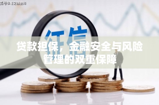 隆子贷款担保，金融安全与风险管理的双重保障
