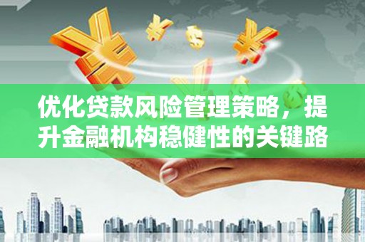 合山优化贷款风险管理策略，提升金融机构稳健性的关键路径