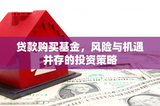 崖州贷款购买基金，风险与机遇并存的投资策略