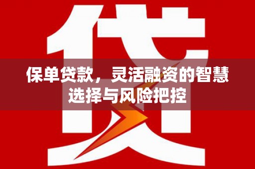 宁陵保单贷款，灵活融资的智慧选择与风险把控