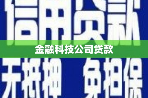 沙溪金融科技公司贷款