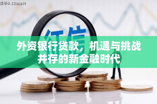 伊吾外资银行贷款，机遇与挑战并存的新金融时代