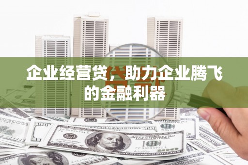 麦寮企业经营贷，助力企业腾飞的金融利器