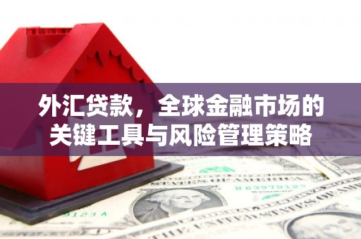 田家庵外汇贷款，全球金融市场的关键工具与风险管理策略