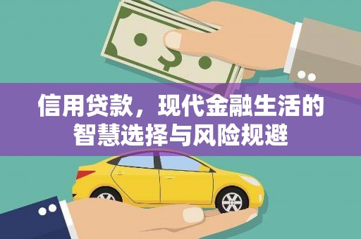凤城信用贷款，现代金融生活的智慧选择与风险规避