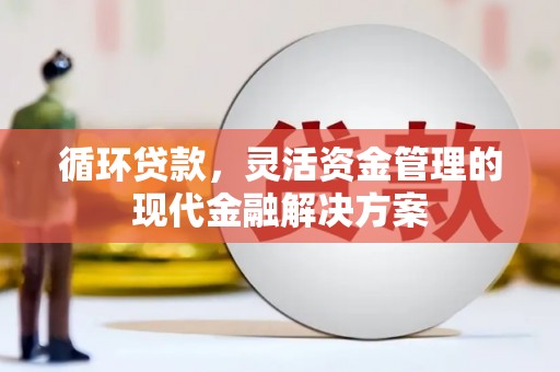 丰县循环贷款，灵活资金管理的现代金融解决方案