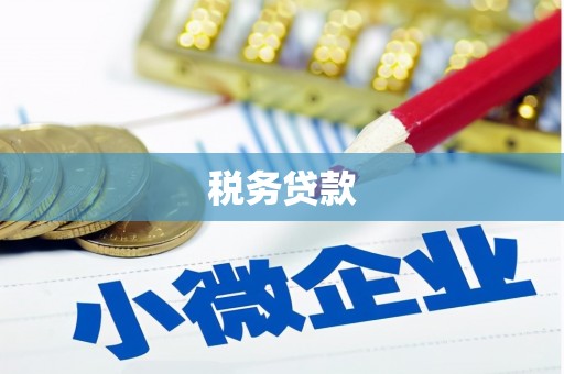 坡头税务贷款