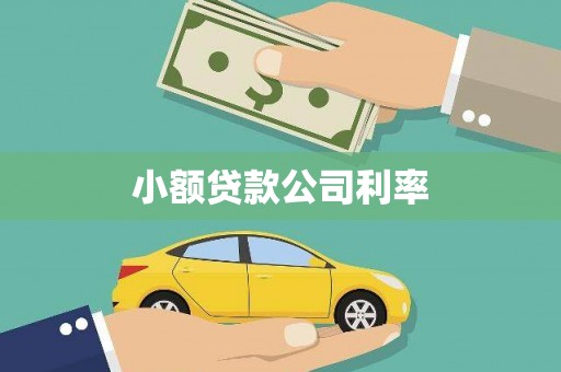 宁乡小额贷款公司利率