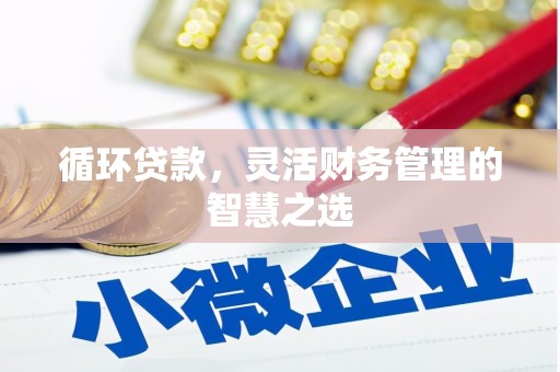 从化循环贷款，灵活财务管理的智慧之选