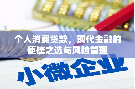 麦寮个人消费贷款，现代金融的便捷之选与风险管理