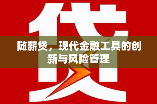 雷州随薪贷，现代金融工具的创新与风险管理