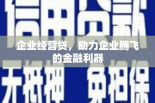 乾安企业经营贷，助力企业腾飞的金融利器