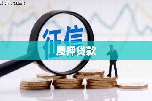 宝坻质押贷款