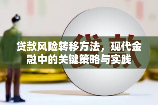 顺河贷款风险转移方法，现代金融中的关键策略与实践