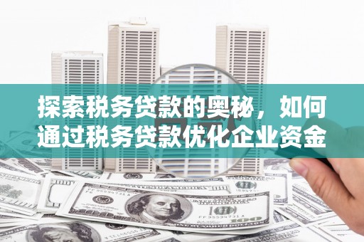涿鹿探索税务贷款的奥秘，如何通过税务贷款优化企业资金流
