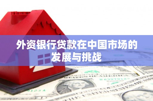 员山外资银行贷款在中国市场的发展与挑战