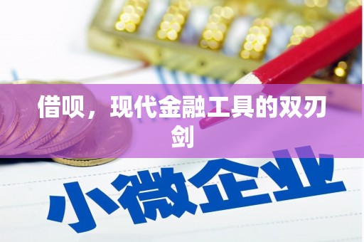 埌东借呗，现代金融工具的双刃剑