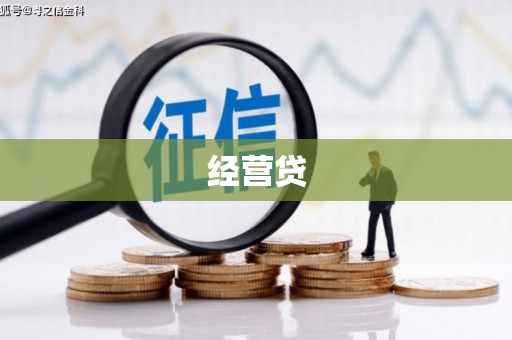 振兴经营贷