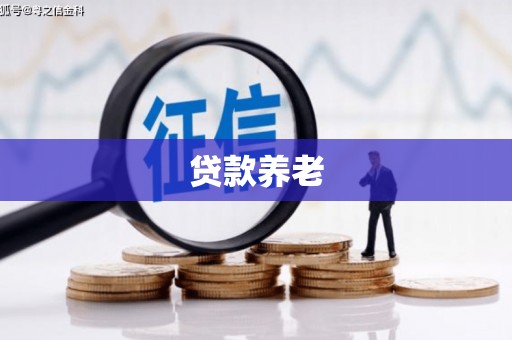 湛江贷款养老