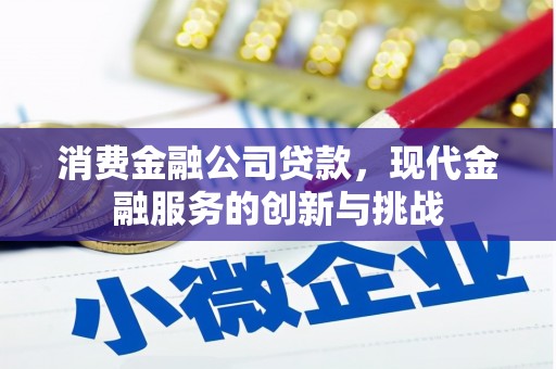 温州消费金融公司贷款，现代金融服务的创新与挑战