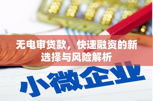 德令哈无电审贷款，快速融资的新选择与风险解析