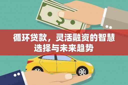 乐亭循环贷款，灵活融资的智慧选择与未来趋势