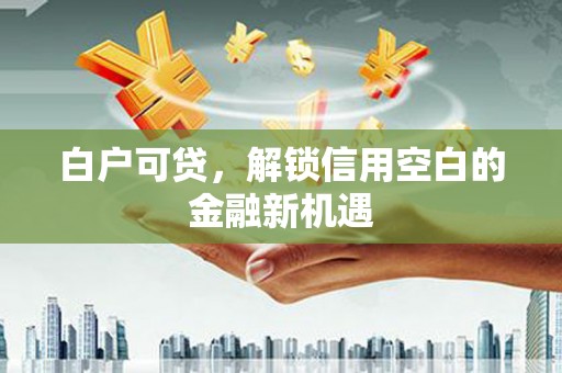 蒲城白户可贷，解锁信用空白的金融新机遇