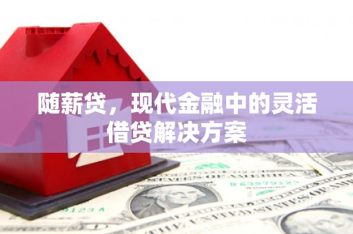 武胜随薪贷，现代金融中的灵活借贷解决方案