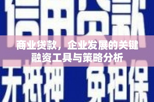 丽江商业贷款，企业发展的关键融资工具与策略分析