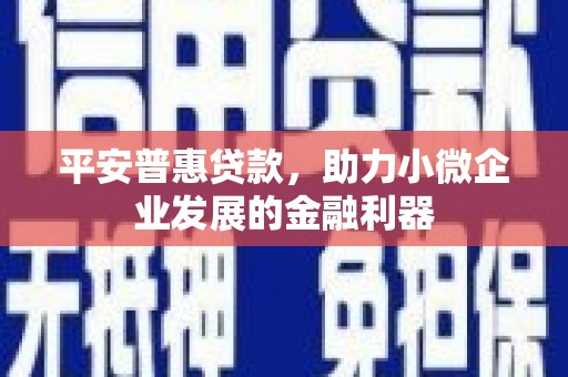 隆阳平安普惠贷款，助力小微企业发展的金融利器
