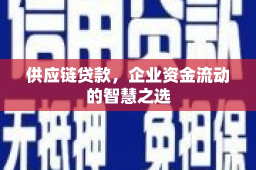 柳州供应链贷款，企业资金流动的智慧之选