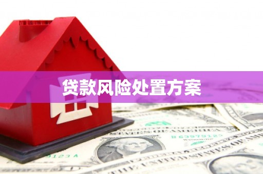 南宫贷款风险处置方案