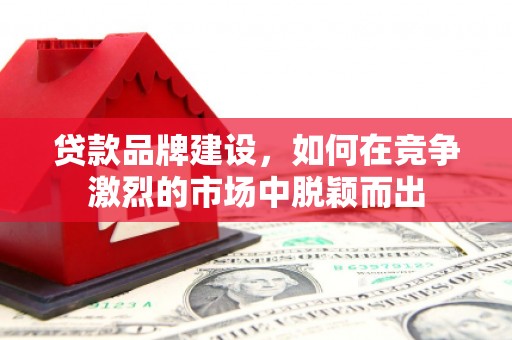 新巴尔虎左旗贷款品牌建设，如何在竞争激烈的市场中脱颖而出