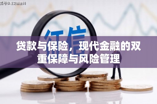 儋州贷款与保险，现代金融的双重保障与风险管理