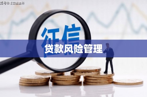 惠东贷款风险管理