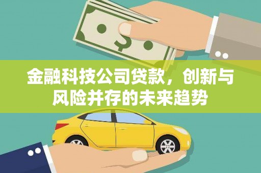 永寿金融科技公司贷款，创新与风险并存的未来趋势