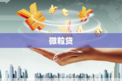 西林微粒贷