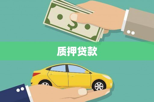 雄县质押贷款
