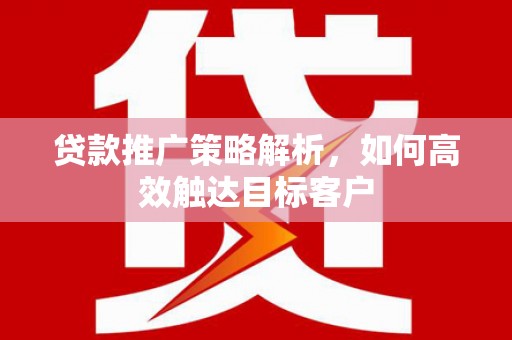 安南贷款推广策略解析，如何高效触达目标客户