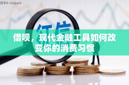 新界借呗，现代金融工具如何改变你的消费习惯