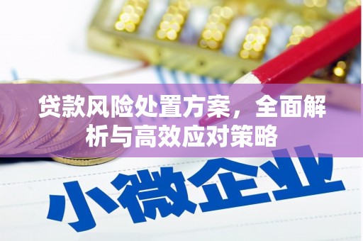 公安贷款风险处置方案，全面解析与高效应对策略
