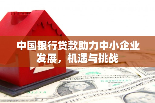 当涂中国银行贷款助力中小企业发展，机遇与挑战