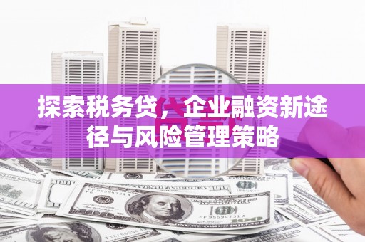 于洪探索税务贷，企业融资新途径与风险管理策略