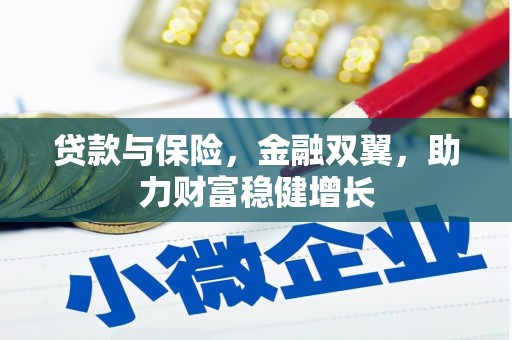 蕉城贷款与保险，金融双翼，助力财富稳健增长
